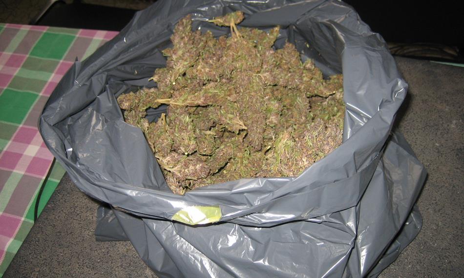 2013-4-10-1046foto Marihuana 23.jpg